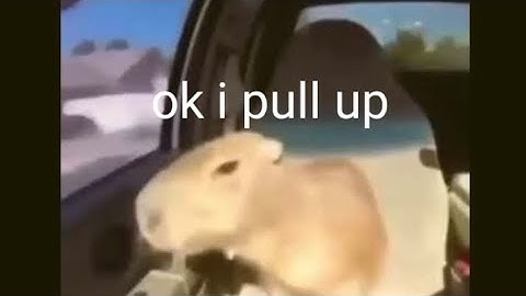 Playing Capybara Clicker! (for the first time)