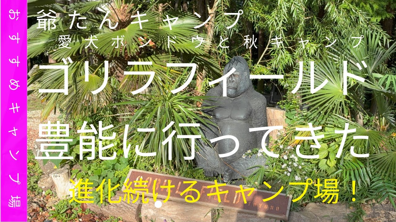 ゴリラフィールド豊能に行ってきました！