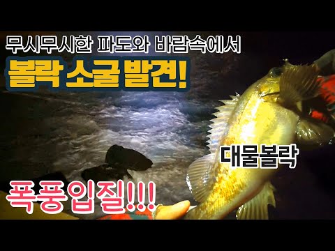 울릉도 <strong>볼락루어낚시</strong> Ep.3