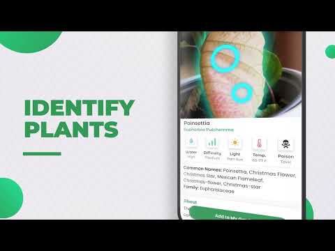 Plantiary: Identificatore di piante AI