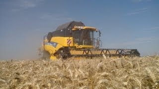 Wheat harvest 2013 / Moisson blé 2013