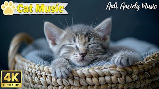 Music for cats helps relax and sleep deeply ♫ Music for cats ♫ Music soothes cats' anxiety by Music For Cats 1,289 views 2 weeks ago 23 hours