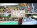 First visit to Mapungubwe National Park | Limpopo | Travel Vlog | South African Youtuber
