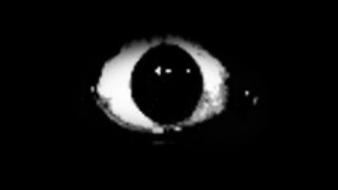 Billys basics 11 years later mod menu fast