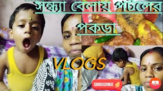 soma nag daily vlogs with pokora।paardhivvlogs&shorts part-32