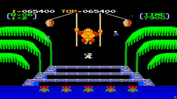 ARCADE HACK PLAYCHOICE DONKEY KONG 3 By NES TO PC10 In 2002 HOMEBREW