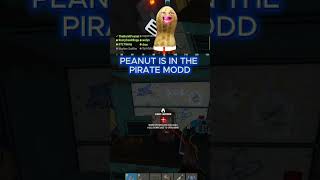 PEANUT IS IN THE PIRATE MODD  #theburntpeanut #likeandsubscribe #shorts #shortsfeed #shortsviral