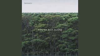 Video thumbnail of "Semisonic - You're Not Alone"