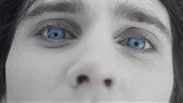 SayWeCanFly - "Song of The Sparrow" (Official Music Video)