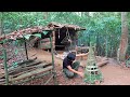 Full Episode : 6 Days Solo Bushcraft in the northern wilderness, Survival Alone in the Rainforest