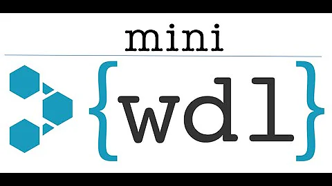 Run viral workflow WDL script using miniwdl tool