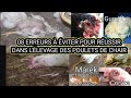 08 erreurs  viter pour russir dans llevage de poulet de chair