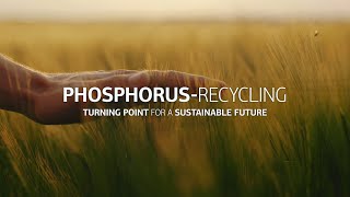 Phosphorus recycling: Decide and act sustainably today - for our future
