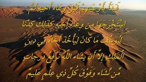 سورة يوسف القارئ نبيل الرفاعي