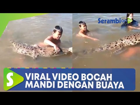 Viral! Video Bocah Mandi dan Bermain dengan Buaya