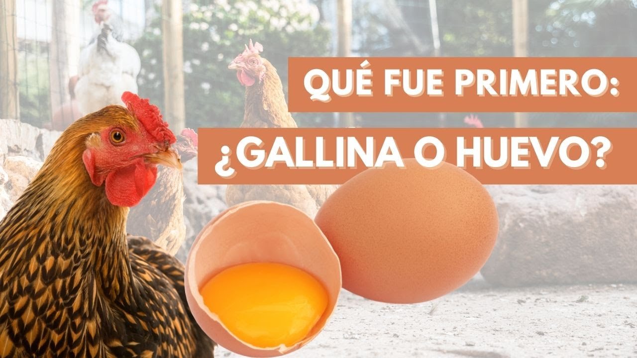 😱Quién fue primero: ¿la GALLINA o el HUEVO?😱 - 15 COSAS que no sabías