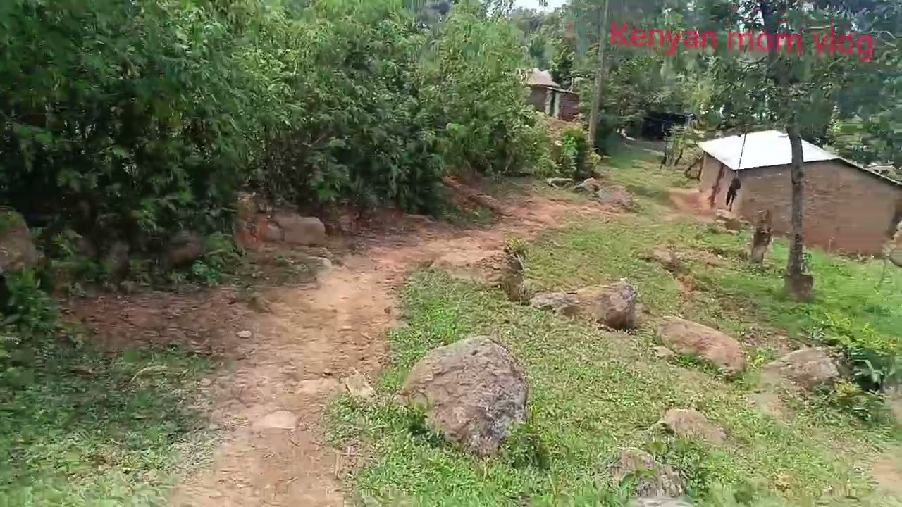 Inside local gold mining:How people mine gold &do business . 