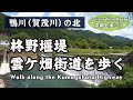 Kyoto Japan【4K】雲ケ畑街道を歩く（上賀茂神社→柊野別れ→柊野堰堤→京都産業大学→十三石橋→鞍馬街道→厳島神社→市原駅）Walk along the Kumogahata Highway