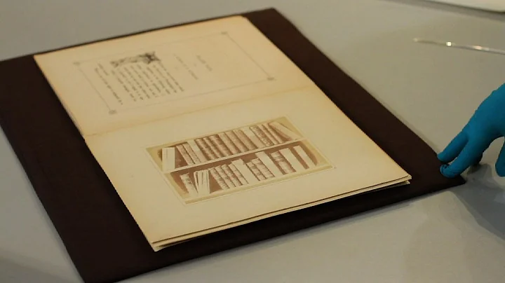 Talbot's Processes - Photographic Processes Series...
