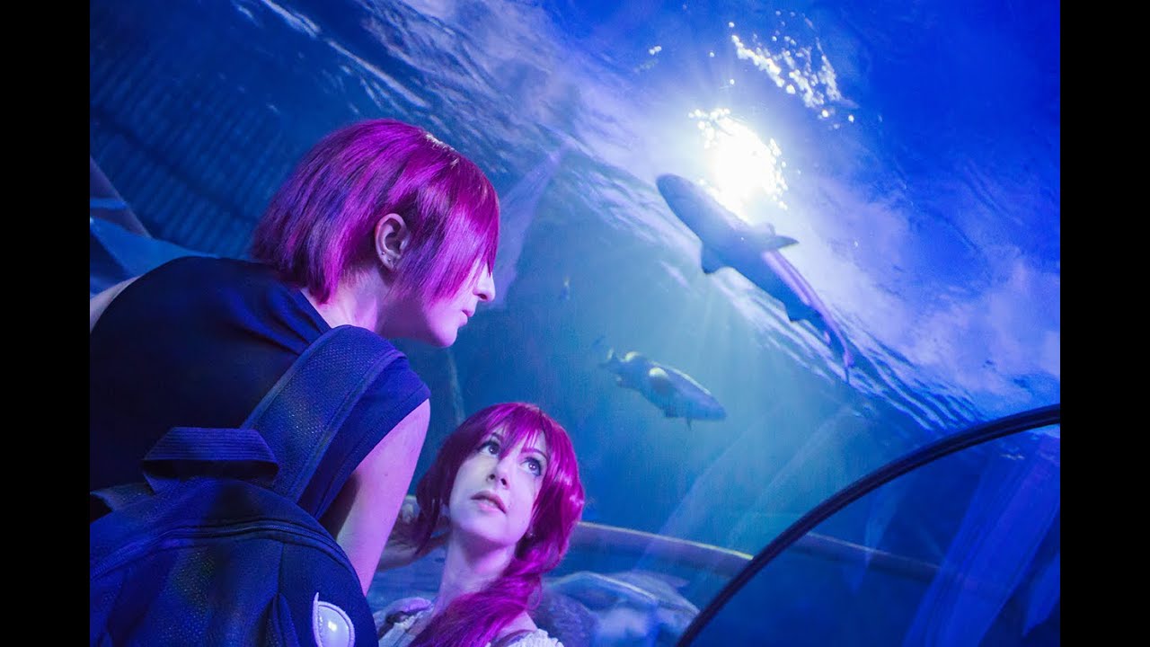 [Cosplay] Rin & Gou Matsuoka CMV - Hey Brother