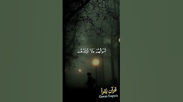 إن الذين كفروا #سورة_آل_عمران #القرآن_الكريم #احمد_العجمي #اكسبلور #راحة_نفسية #لايك #تلاوة_خاشعة