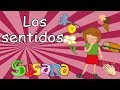 👅 "Los 5 Sentidos" - SUSANA Canciones Infantiles | Sobre el cuerpo humano