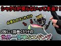 シャクりは一切しない…2秒に1回巻くだけで面白いように釣れるこのエギングが楽しい