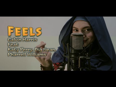 Calvin Harris - Feels Ft. Pharrel Williams, Katy Perry, Big Sean ( Cover)