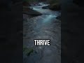 Discover the magic of Hollow Creek! #Bioluminescence #NatureWonders #HollowCreek