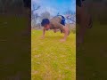 home workout at ground #pushuptaraning#homeworkout #bodyweightworkout #coreworkout #hiitworkout