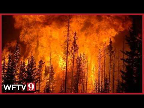 Over 100 Million Americans Under Alerts From Canadian Wildfires