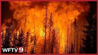 Over 100 Million Americans Under Alerts From Canadian Wildfires