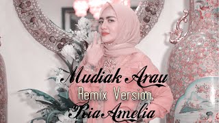 Ria Amelia - Mudiak Arau (Remix Version)