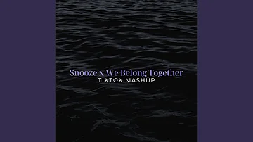 Snooze x We Belong Together (TikTok Mashup)