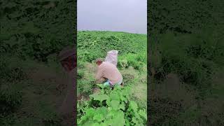মাশাল্লাহ কত সুন্দর ভিডিও #fbm #newgojol #vlog #lifeisbutadream 🥰❤️💚💚❤️🥰🤲🤲🤲 #cutebaby #
