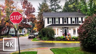 4K Rainy Autumn Walk through Zelienople, PA