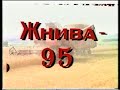 Жнива 95 село Новосілка ТВ-43