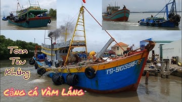 Cảng cá Vàm Láng🍀mỗi lần tàu tải loại đại ca di chuyển ra vào là như thế này đây(fishing boat)