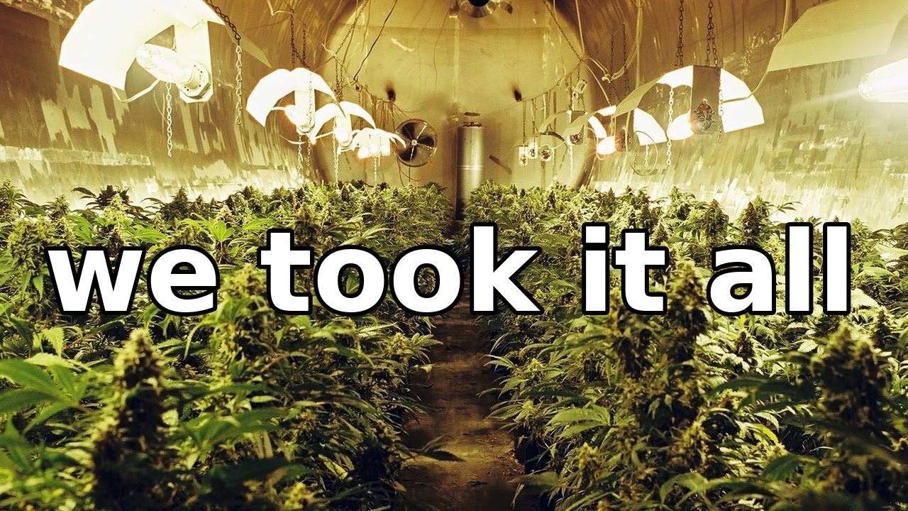 Storytime: The Grow-Op Heist