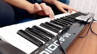 Connecting Org 2020 To Midi Keyboard