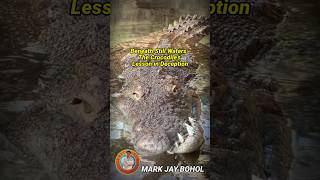 BENEATH STILL WATERS: THE CROCODILE’S LESSON IN DECEPTION