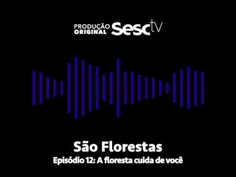 Episode 12: The Forest Takes Care of You