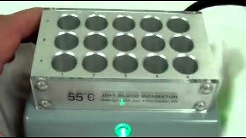 Getinge 55 C Dry-Block Incubator