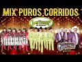 Los Tucanes de Tijuana, Los Originales de San Juan, Los Terribles del Norte   Puros Corridos Mix