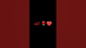 احترم قرآن كريم دقيقة ♥️🌹