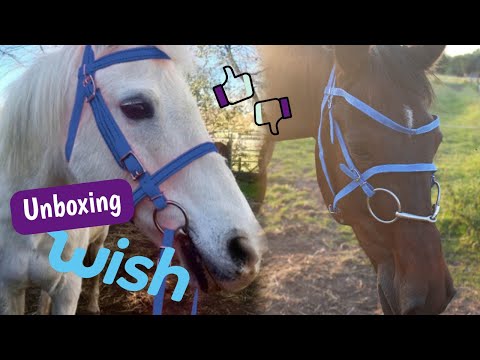 Video: Eten Van Non-food Artikelen Bij Paarden