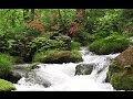 【ASMR】自然音　滝の音　青森県　奥入瀬渓流