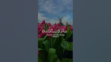 قل أعوذ برب الناس ⚘سورة الناس بصوت جميل جدا 🌷حالات واتس اب دينية مؤثرة 🌿