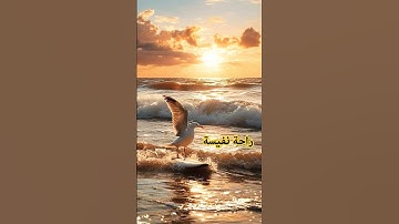 صوت يريح القلوب | #تلاوة_هادئة | #عبدالرحمن_مسعد | #اكسبلور | #duet