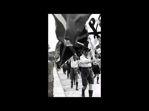 Wandervögel Lied - Unter den Toren
